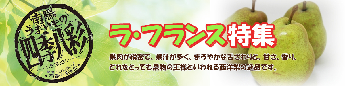 山形清分　さくらんぼ特集